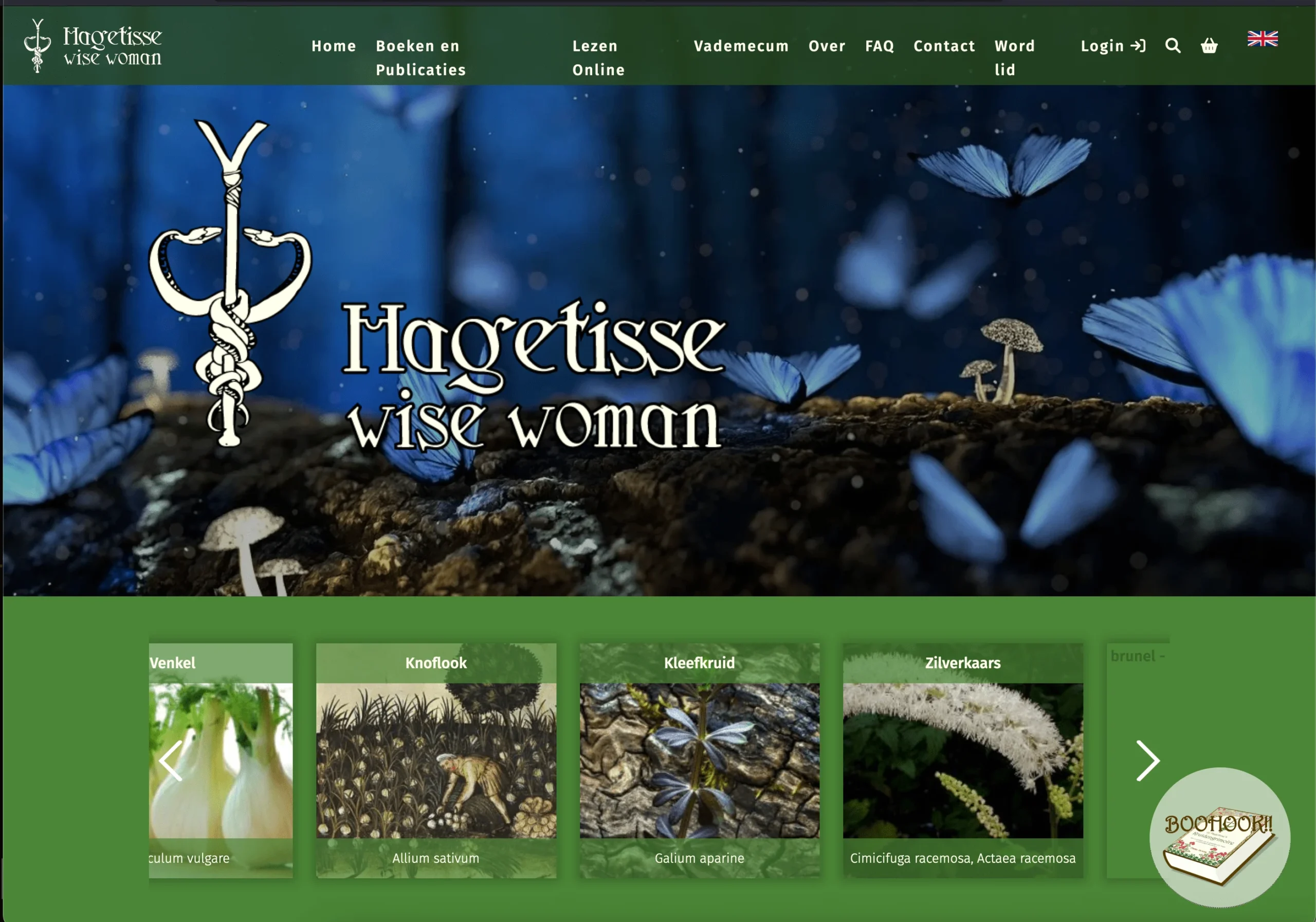 Hagetisse Website Screenshot